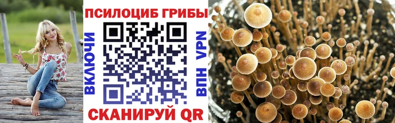 Псилоцибиновые грибы мухоморы  Вельск 